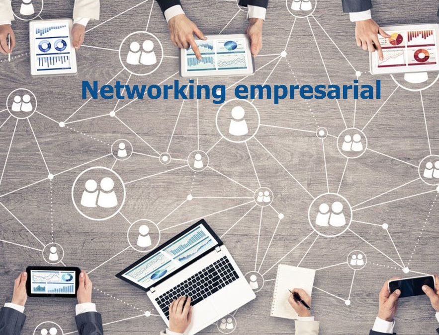 ¿Qué es el networking empresarial?